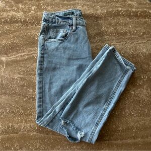 Wild Fable Jeans